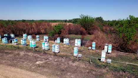 Bee-apiary----man--walking-in-countryside