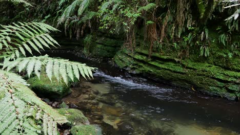 Nueva-Zelanda-Hermosa-Y-Serena-Escena-Natural-De-Un-Pequeño-Arroyo-Que-Fluye-A-Través-De-Un-Hermoso-Follaje-Verde