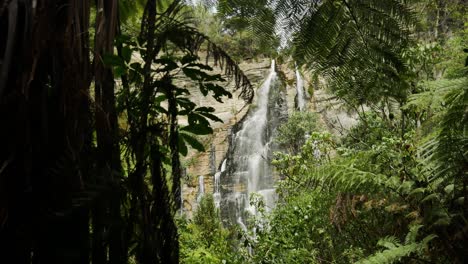 Cinematic-Reveal-of-Lush-Foliage-and-Shine-Falls-Waterfall-in-New-Zealand