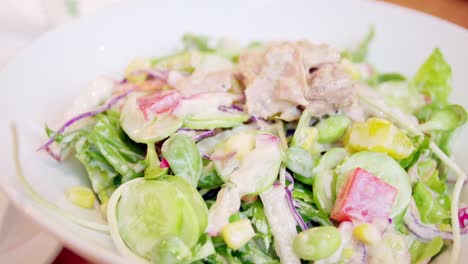 Canned-tuna-with-vegetable-salad
