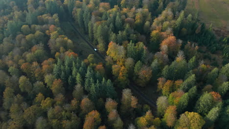 Aerial-View-Of-Car-Driving-Across-The-Road-With-Autumnal-Tree-Forest-At-Fagne-du-Rouge-Ponce-In-Saint-Hubert,-Belgium