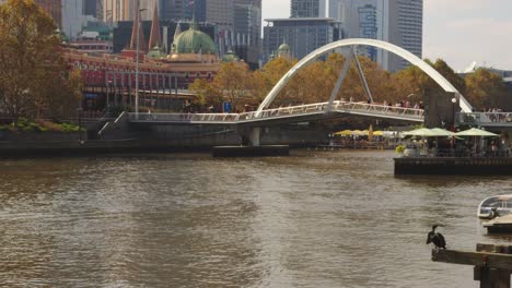 Yarra-River-in-Melbourne-towards-the-Evan-Walker-Bridge,-enjoying-the-views-of-the-Southbank-precinct