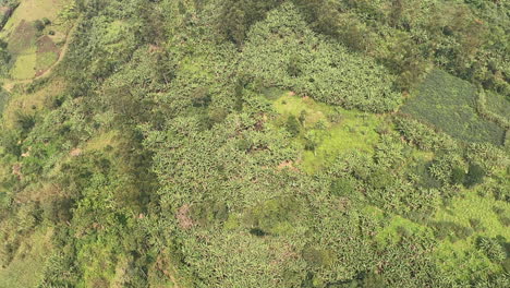 Shadow-of-helicopter-projected-onto-dense-green-mountain,-DRC-jungle