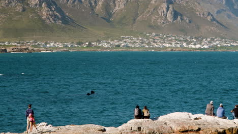 Right-whale-on-its-back-with-flippers-in-air-entertaining-onlooking-tourists
