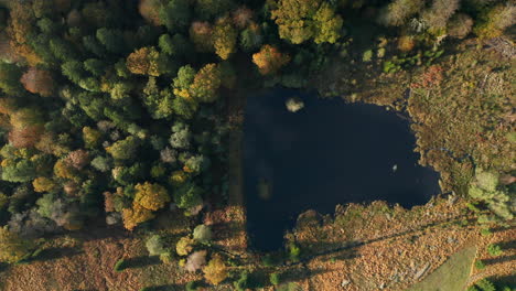 Teich-Unter-Herbstlichen-Wäldern-An-Einem-Sonnigen-Tag-Am-Fagne-Du-Rouge-Ponce-In-Saint-Hubert,-Belgien