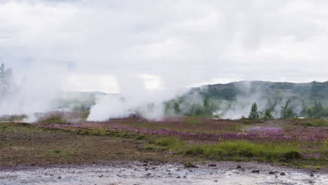 Panoramic-shot-of-a-group-of-geysers-emitting-water-vapor-in-Iceland