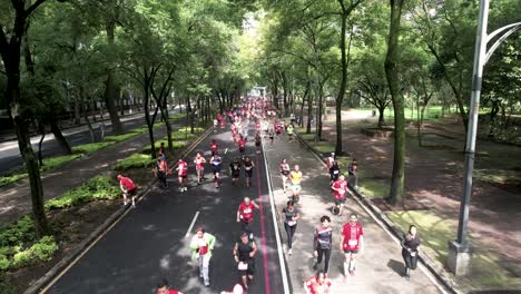 fixed-drone-shot-of-the-runners-of-the-mexico-city-marathon-while-they-run-along-the-paseo-de-la-reforma-avenue