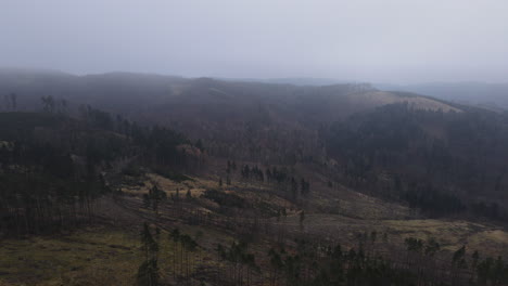Flying-over-the-landscape-and-forest-under-the-thick-fog-around-during-the-winter-evening