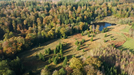 Scenic-View-On-Colorful-Autumn-Trees-And-Pond-In-Fagne-du-Rouge-Poncé,-Belgium---aerial-drone-shot