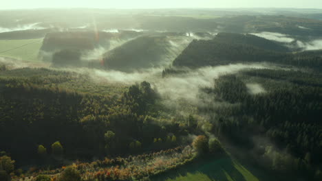 Landschaft-Mit-Grünen-Feldern-Und-üppiger-Vegetation-An-Einem-Nebligen-Herbsttag-In-Sommerain,-Belgien---Drohnenaufnahme-Aus-Der-Luft
