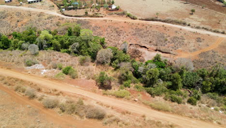 Antenne-Eines-Streifens-Grüner-Bäume-In-Einer-Trockenen-Landschaft-Im-Ländlichen-Kenia