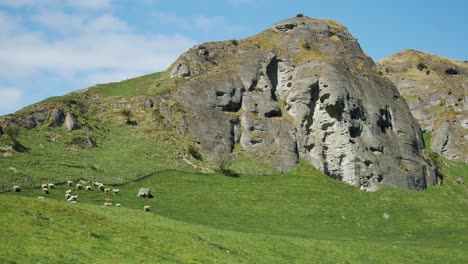 Cattle-Grazing-on-Green-Field-uner-Mountain-Cliffs-in-New-Zealand-Farmland-Countryside