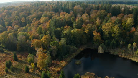 Colorful-Foliage-In-Fagne-du-Rouge-Poncé-in-Saint-Hubert,-Belgium---Aerial-shot