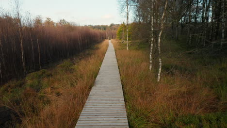 Boardwalk-Amidst-The-Colorful-Grass-And-Forest-In-Fagne-Du-Rouge-Ponce-in-Saint-Hubert,-Belgium
