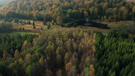 Paisaje-Escénico-Con-Estanque-Y-Coloridos-árboles-De-Otoño-En-Fagne-Du-Rouge-Poncé,-Bélgica---Toma-Aérea-De-Drones
