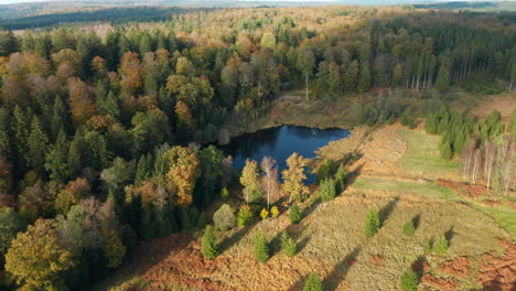 Small-Pond-Beside-The-Autumn-Forest-Inside-The-Fagne-du-Rouge-Ponce-in-Saint-Hubert,-Belgium