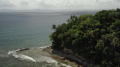 Drone-shot-showing-tropical-green-island-with-palm-trees-and-rocky-shore-during-sunny-day---Samana-Bay,Dominican-Republic
