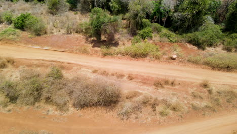 Aerial-of-a-dirt-road-running-next-to-green-trees-and-bushes-in-rural-Kenya