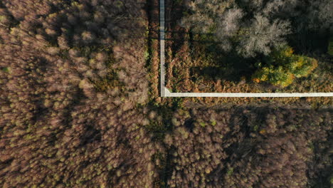 Drone-Ascendiendo-En-La-Reserva-Natural-De-Fagne-Du-Rouge-Poncé-En-Saint-Hubert,-Bélgica