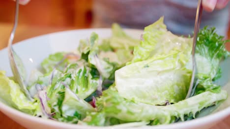 Fresh-vegetable-salad-bowl-close-up,-healthy-organic-vegetables'-salad-with-tuna