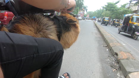Mumbai,-Maharashtra,-India-September-1,-2022:-take-the-german-shepherd-dog-for-a-walk-to-the-beach-on-a-motorbike