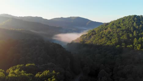 4K-Drone-Video-Flying-Above-Trees-Along-Mountain-Road-in-Smoky-Mountains-near-Asheville,-NC-on-Foggy-Morning