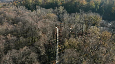 Aerial-View-Of-Long-Wooden-Footpath-At-Nature-Preserve-Of-Fagne-du-Rouge-Ponce-In-Saint-Hubert,-Belgium