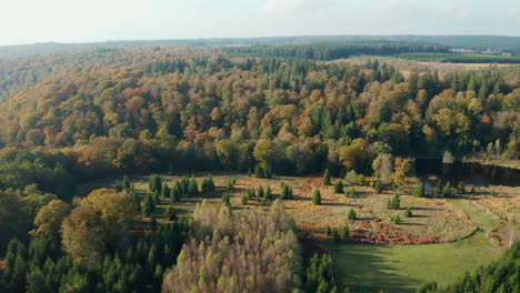 Vast-Forest-Landscape-Of-Fagne-du-Rouge-Poncé-in-Saint-Hubert,-Belgium---Aerial-shot