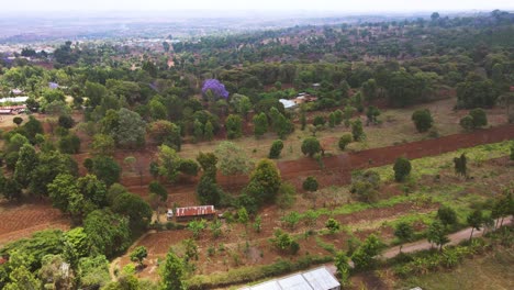 Drone-Shot-Vista-Panorámica-De-Los-Campos-Agrícolas-Verdes-En-Loitokitok,-Kenia---Toma-Aérea-De-Drones