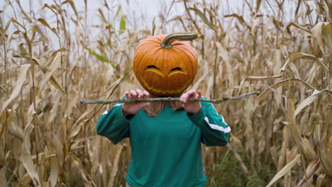 Girl-With-Pumpkin-Head-Standing-At-Cornfields-Break-Small-Branch-With-Bare-Hands