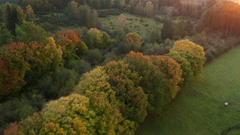 Green-Fields-And-Colorful-Trees-During-Autumn-In-Sommerain,-Belgium---aerial-drone-shot