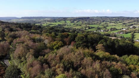 Aerial-shot-flying-over-trees-with-a-view-over-the-Otter-Valley-and-East-Devon-Countryside-in-England