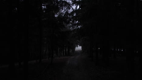 Flying-through-a-dark-forest-path-with-snow-covered-trees-during-a-thick-fog
