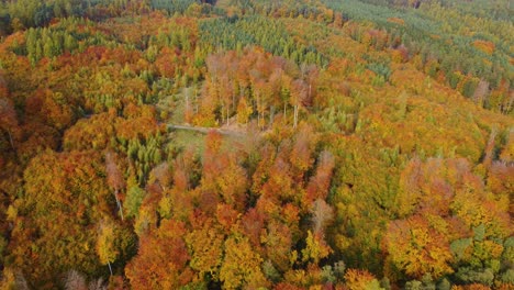 Fliegen-In-Richtung-Eines-Herbstlichen-Mischwaldes-Mit-Einer-Straße-An-Einem-Sonnigen-Tag