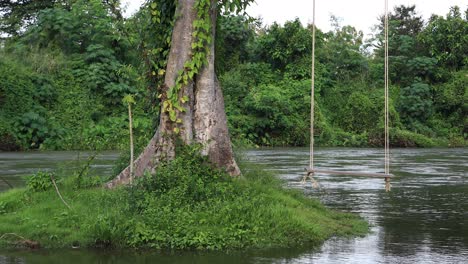 4k-Nahaufnahme-Eines-Baumes-Mit-Seilschaukel-Und-Flusshintergrund-In-Thailand