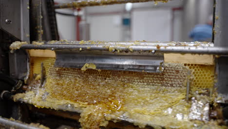 Vax-removal-honey-production-factory