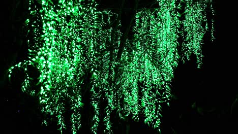 Decoración-De-árboles-Iluminados-En-Lightopia-En-Crystal-Palace-Park,-Londres