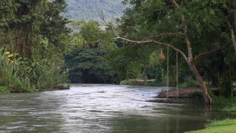 4K-Landschaftsansicht-Am-Flussufer-Mit-Seilschaukel,-Die-An-Einem-Baum-In-Thailand-Hängt