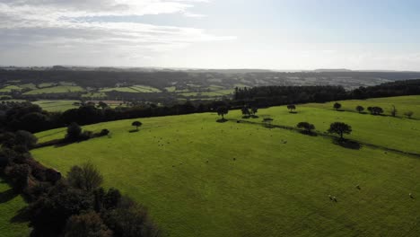 Idyllisches-Grünes-Landwirtschaftsland-Der-Englischen-Devon-landschaft