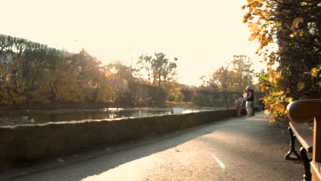 Tourists-Enjoying-Scenery-Near-The-Pond-At-Oliwski-Park-During-Autumn---static-shot