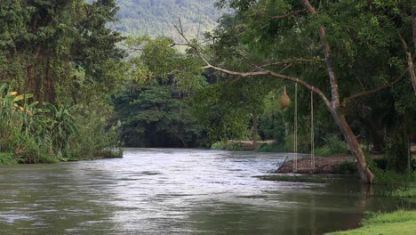 Vista-Del-Paisaje-De-La-Orilla-Del-Río-4k-Con-Columpio-De-Cuerda-Colgando-De-Un-árbol-En-Tailandia