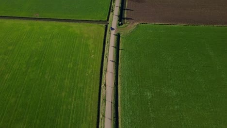 Aerial-drone-view-of-tilting-up-straight-at-the-road-in-the-countryside-of-the-Netherlands,-Europe