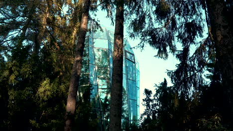 palm-house-a-modern-building-made-of-glass-in-Park-Oliwski-im