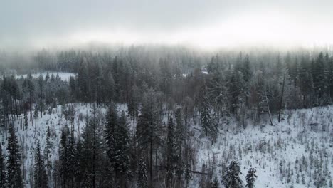 Kalte-Winterszene:-Wolkeneruption-Inmitten-Heftigen-Schneefalls-über-Frostigen-Kiefern--Und-Fichtenwäldern-In-Der-Thompson-nicola-region
