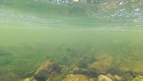 Water-level-river-scene-dips-below-surface-to-reveal-rocks-and-algae