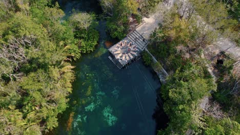 Gruppe-Von-Menschen,-Die-In-Der-Cenote-An-Der-Riviera-Maya-Um-Einen-Kreis-Von-Yogamatten-Laufen