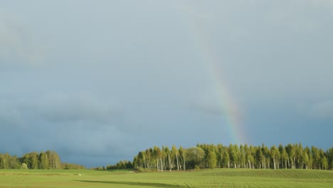 Summer-spring-rain-and-rainbow-above-green-field-and-forest