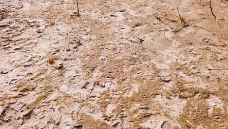 Arid-soil-background---Desert-scene---drone-shot