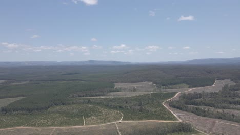 Panorama-Of-The-Nature-Landscape-Of-Beerburrum-West-State-Forest-Park-In-Southeastern-Queensland,-Australia