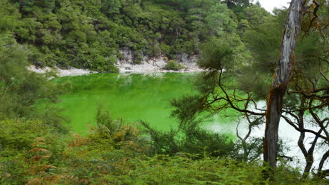 Panning-shot-of-green-colored-lake-surrounded-by-overgrown-hills-in-Waiotapu-thermal-park-area